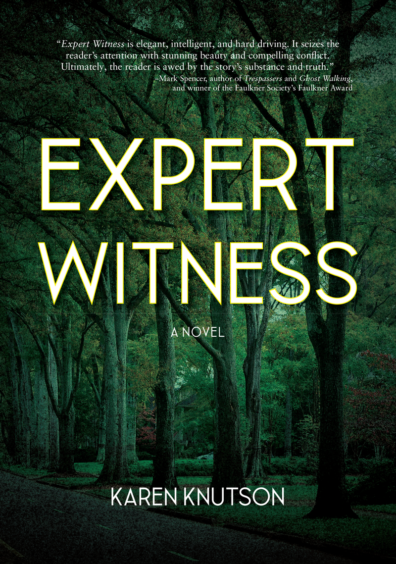 Expert Witness — cover