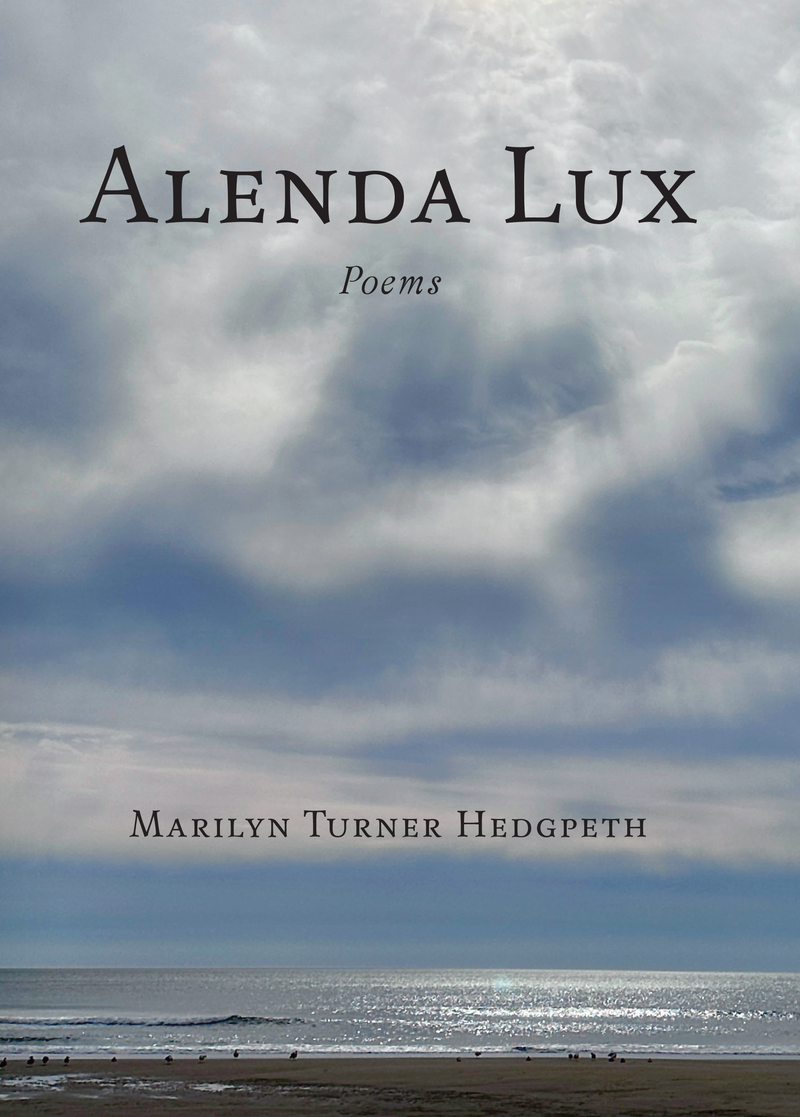 Alenda Lux — cover