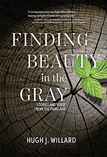 Finding Beauty in the Gray — cover