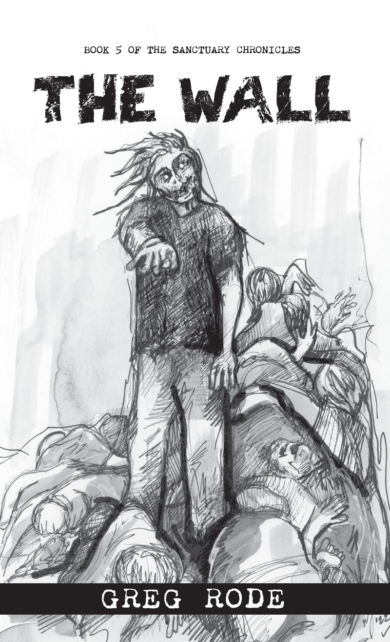 The Wall (Book 5 of Sanctuary Chronicles) — cover