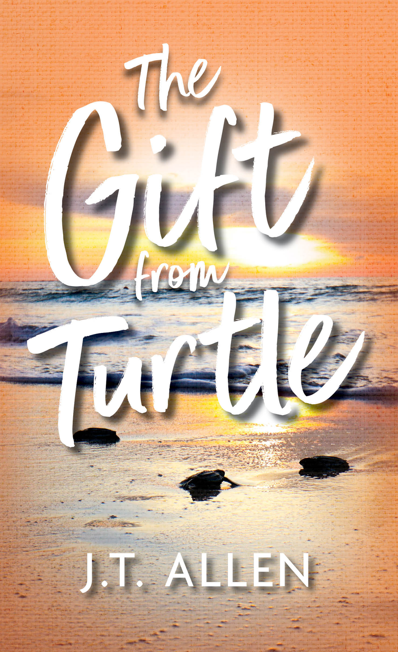 The Gift from Turtle — cover